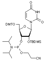 2’-O-tert-Butyldimethylsilyl-5’-O-DMT-uridine 3’-CE phosphoramidite