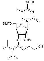 N4-Benzoyl-5’-O-DMT-2’-O-methyl-5-methylcytidine 3’-CE phosphoramidite