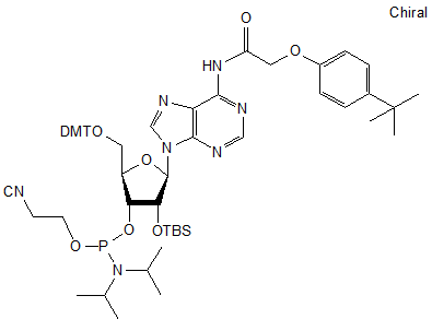 2’-O-tert-Butyldimethylsilyl-N6-(tert-butylphenoxyacetyl)-5’-O-DMT-adenosine 3’-CE phosphoramidite