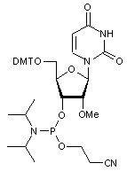 5’-O-DMT-2’-O-methyluridine 3’-CE phosphoramidite