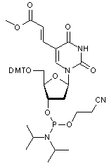 2’-Deoxy-5’-O-DMT-5-(3-methacryloyl)uridine 3’-CE phosphoramidite