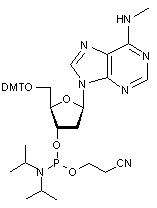 2’-Deoxy-5’-O-DMT-N6-methyladenosine 3’-CE phosphoramidite