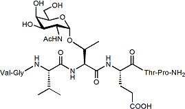 VGVT(Î±-O-GalNAc)ETP-NH2