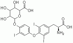 Liothyronine-O-glucuronide (phenolic glucuronide)