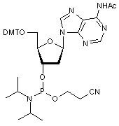 N6-Acetyl-2’-deoxy-5’-O-DMT-adenosine 3’-CE phosphoramidite