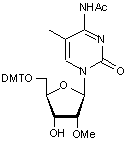 N4-Acetyl-5’-O-DMT-2’-O-methyl-5-methylcytidine