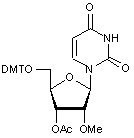  3’-O-Acetyl-5’-O-DMT-2’-O-methyuridine