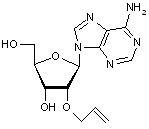 2’-O-Allyladenosine