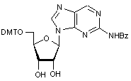  2-Amino-benzoyl-9-(5’-O-DMT-β-D-ribofuranosyl)purine