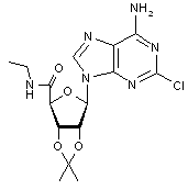 2-Chloro-5’-N-ethylcarboxamide-2’,3’-O-isopropylidene adenosine