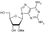 2-Amino-2’-O-methyladenosine