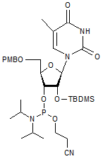  5’-O-p-Anisoyl-2’-O-tert-butyldimethylsilyl-5-methyluridine 3’-CE phosphoramidite