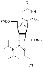  5’-O-p-Anisoyl-2’-O-tert-butyldimethylsilyluridine 3’-CE phosphoramidite