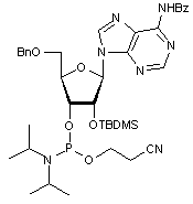  N6-Benzoyl-5’-O-benzyl-2’-O-tert-butyldimethylsilyladenosine 3’-CE phosphoramidite