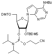  N6-Benzoyl-2’-tert-butyldimethylsilyl-7-deaza-5’-O-DMT-adenosine 3’-CE phosphoramidite