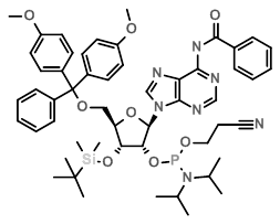  N6-Benzoyl-3’-O-tert-butyldimethylsilyl-5’-O-DMT-adenosine 2’-CE phosphoramidite