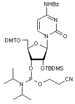 N4-Benzoyl-2’-O-tert-butyldimethylsilyl-5’-O-DMT-cytidine 3’-CE phosphoramidite