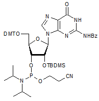 N2-Benzoyl-2’-O-tert-butyldimethylsilyl-5’-O-DMT-guanosine 3’-CE phosphoramidite