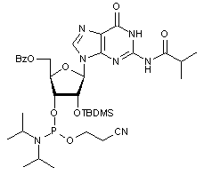 5’-O-Benzoyl-2’-O-tert-butyldimethylsilyl-N2-isobutyrylguanosine 3’-CE phosphoramidite