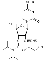  N4-Benzoyl-2’-O-tert-butyldimethylsilyl-5’-O-tritylcytidine 3-CE phosphoramidite