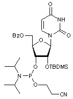 5’-O-Benzoyl-2’-O-tert-butyldimethylsilyluridine 3’-CE phosphoramidite