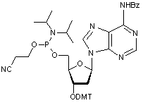 N6-Benzoyl-2’-deoxy-3’-O-DMT-adenosine 5’-CE phosphoramidite