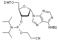 N6-Benzoyl-2’-deoxy-5’-O-DMT-α-adenosine 3’-CE phosphoramidite