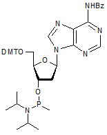 N6-Benzoyl-2’-deoxy-5’-O-DMT-adenosine 3’-Me phosphonamidite